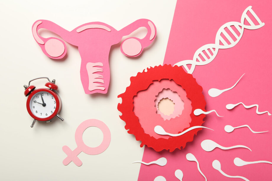 Icono ilustrativo de fertilidad femenina, representativo del taller calidad del óvulo
